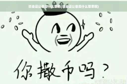 毕业证公章是什么意思(毕业证公章是什么意思啊)