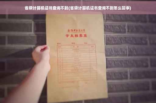省级计算机证书查询不到(省级计算机证书查询不到怎么回事)