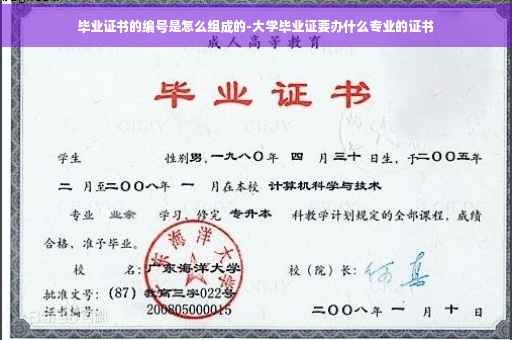 毕业证书的编号是怎么组成的-大学毕业证要办什么专业的证书
