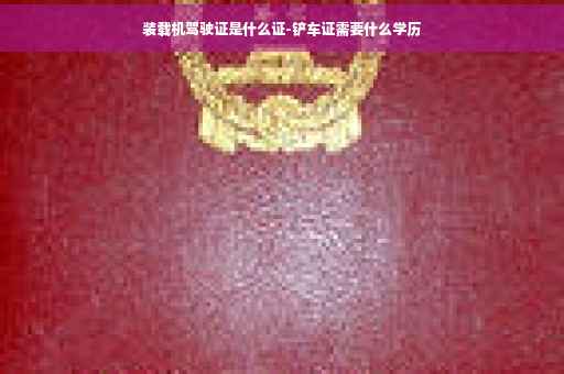 装载机驾驶证是什么证-铲车证需要什么学历
