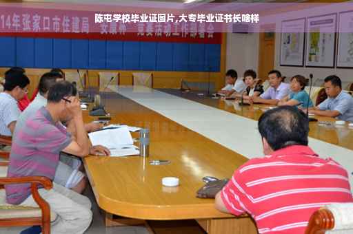 陈屯学校毕业证图片,大专毕业证书长啥样