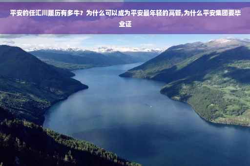 平安的任汇川履历有多牛？为什么可以成为平安最年轻的高管,为什么平安集团要毕业证