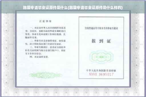 韩国申请毕业证原件是什么(韩国申请毕业证原件是什么样的)