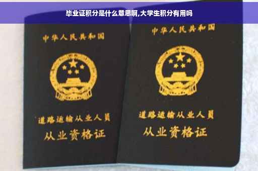 毕业证积分是什么意思啊,大学生积分有用吗
