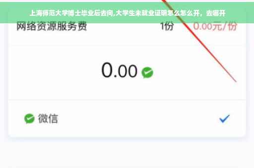 上海师范大学博士毕业后去向,大学生未就业证明怎么怎么开，去哪开