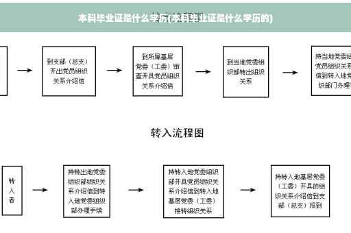 本科毕业证是什么学历(本科毕业证是什么学历的)