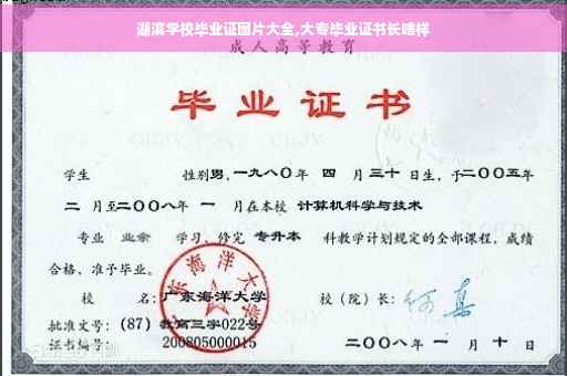 湖滨学校毕业证图片大全,大专毕业证书长啥样