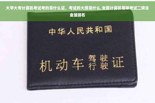 大学大专计算机考试考的是什么证，考试的大纲是什么,全国计算机等级考试二级含金量排名