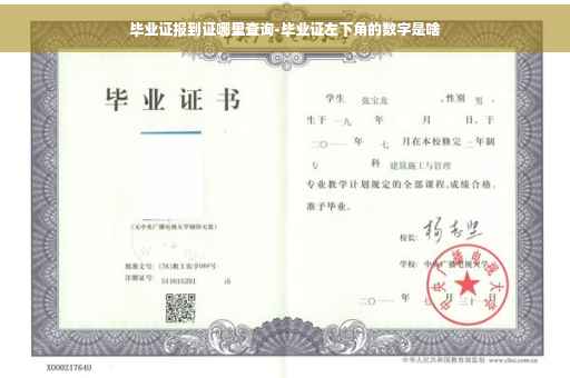 毕业证报到证哪里查询-毕业证左下角的数字是啥