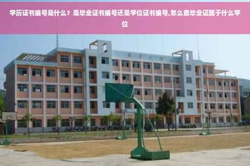 学历证书编号是什么？是毕业证书编号还是学位证书编号,怎么查毕业证属于什么学位