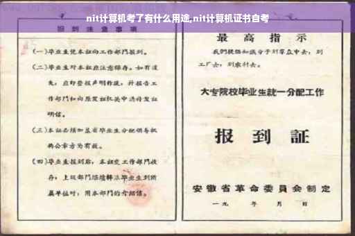 nit计算机考了有什么用途,nit计算机证书自考
