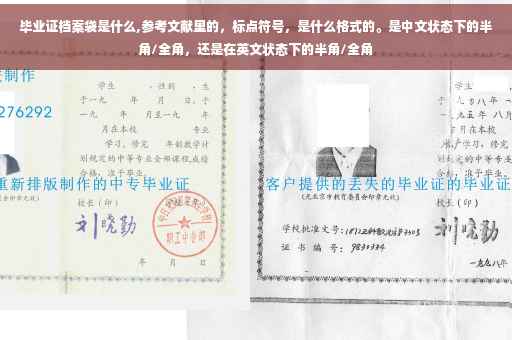 毕业证档案袋是什么,参考文献里的，标点符号，是什么格式的。是中文状态下的半角/全角，还是在英文状态下的半角/全角