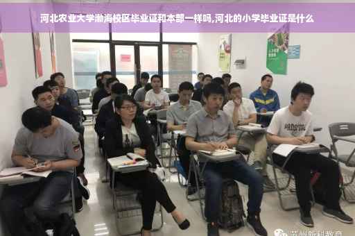河北农业大学渤海校区毕业证和本部一样吗,河北的小学毕业证是什么