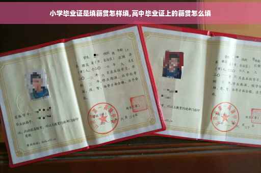 小学毕业证是填籍贯怎样填,高中毕业证上的籍贯怎么填
