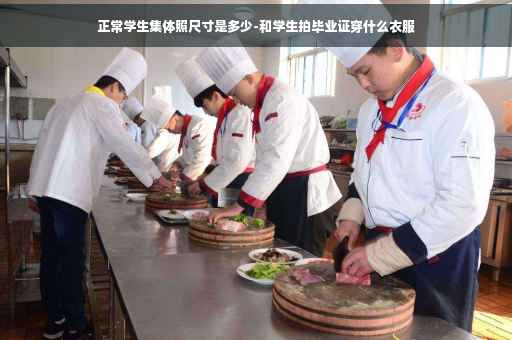正常学生集体照尺寸是多少-和学生拍毕业证穿什么衣服