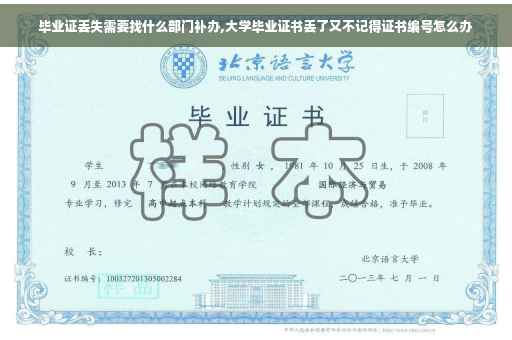 毕业证丢失需要找什么部门补办,大学毕业证书丢了又不记得证书编号怎么办