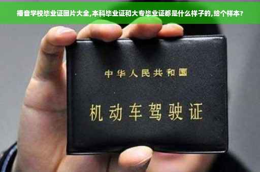 播音学校毕业证图片大全,本科毕业证和大专毕业证都是什么样子的,给个样本?