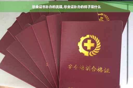 毕业证书补办的流程,毕业证补办的样子是什么