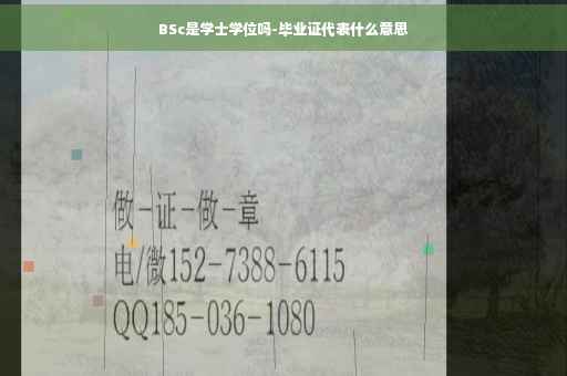 BSc是学士学位吗-毕业证代表什么意思