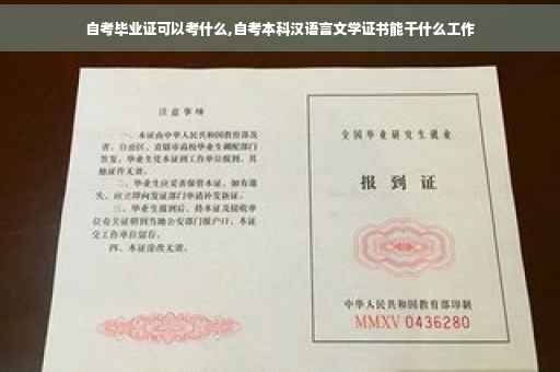 自考毕业证可以考什么,自考本科汉语言文学证书能干什么工作