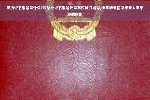 学历证书编号是什么?是毕业证书编号还是学位证书编号,小学毕业初中毕业大学毕业的区别