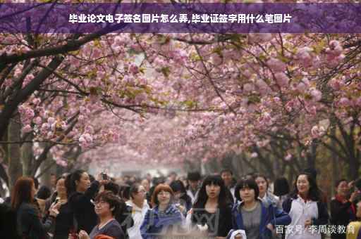 毕业论文电子签名图片怎么弄,毕业证签字用什么笔图片