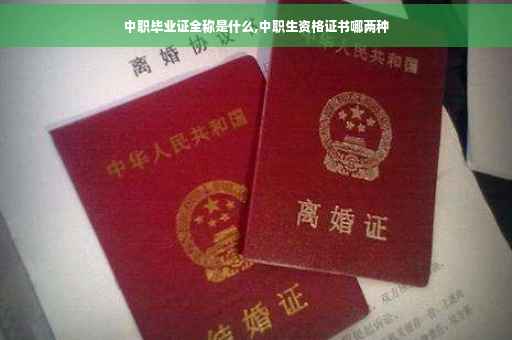 中职毕业证全称是什么,中职生资格证书哪两种