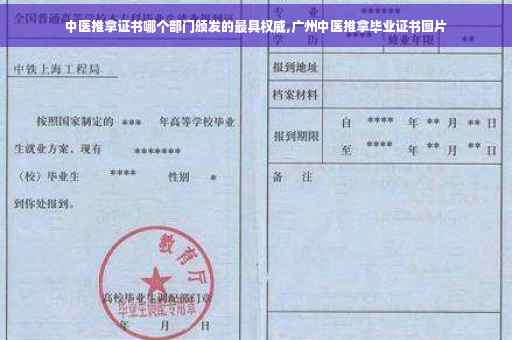 中医推拿证书哪个部门颁发的最具权威,广州中医推拿毕业证书图片