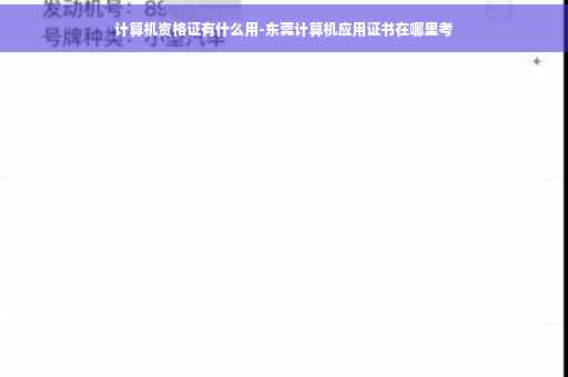 计算机资格证有什么用-东莞计算机应用证书在哪里考