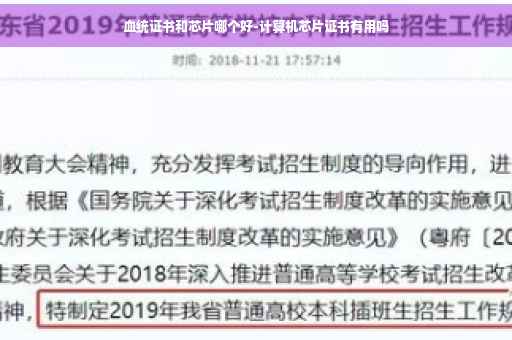 血统证书和芯片哪个好-计算机芯片证书有用吗