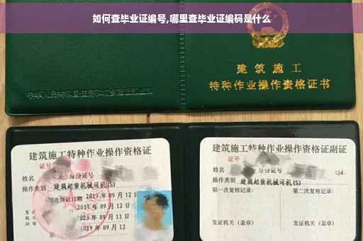 如何查毕业证编号,哪里查毕业证编码是什么