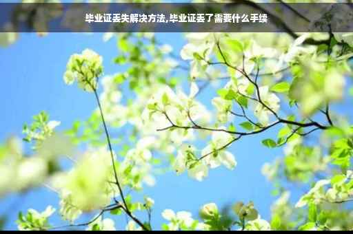 毕业证丢失解决方法,毕业证丢了需要什么手续