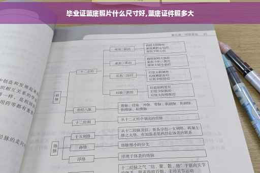 毕业证蓝底照片什么尺寸好,蓝底证件照多大