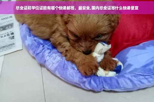 毕业证和学位证能有哪个快递邮寄，最安全,国内毕业证寄什么快递便宜