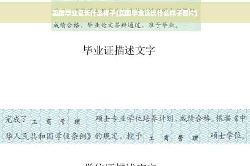 美国毕业证长什么样子(美国毕业证长什么样子图片)