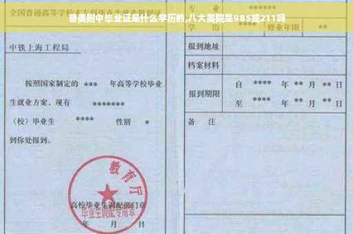 鲁美附中毕业证是什么学历的,八大美院是985或211吗
