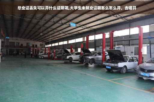 毕业证丢失可以开什么证明呢,大学生未就业证明怎么怎么开，去哪开