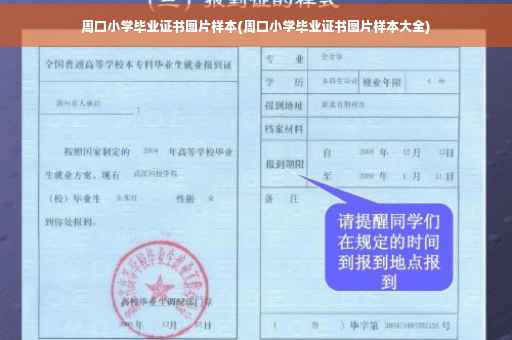 周口小学毕业证书图片样本(周口小学毕业证书图片样本大全)