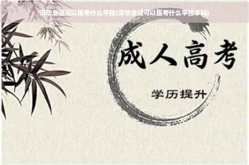 没毕业证可以报考什么学校(没毕业证可以报考什么学校本科)
