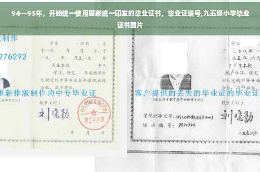 94—95年，开始统一使用国家统一印发的毕业证书，毕业证编号,九五级小学毕业证书图片