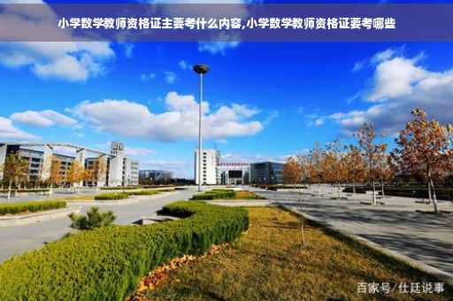 小学数学教师资格证主要考什么内容,小学数学教师资格证要考哪些