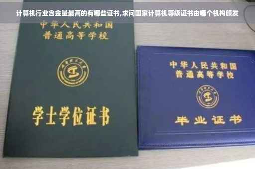 计算机行业含金量最高的有哪些证书,求问国家计算机等级证书由哪个机构颁发