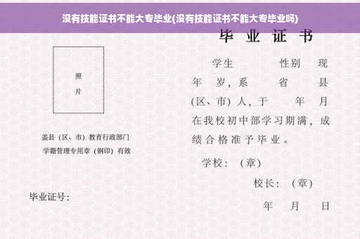 没有技能证书不能大专毕业(没有技能证书不能大专毕业吗)