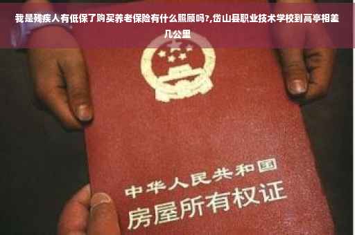 我是残疾人有低保了购买养老保险有什么照顾吗?,岱山县职业技术学校到高亭相差几公里