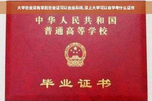 大学毕业没有拿到毕业证可以去当兵吗,没上大学可以自学考什么证书