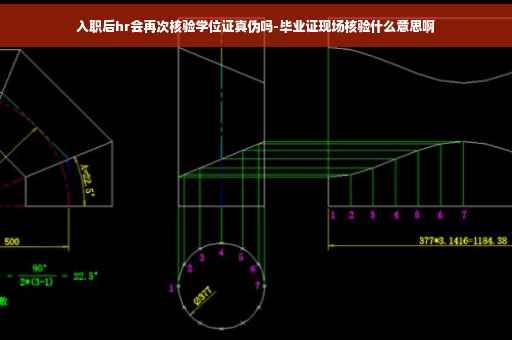 入职后hr会再次核验学位证真伪吗-毕业证现场核验什么意思啊 入职后hr会再次核验学位证真伪吗-毕业证现场核验什么意思啊