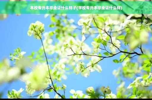 本校专升本毕业证什么样子(学校专升本毕业证什么样)