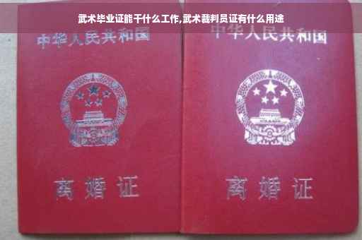 武术毕业证能干什么工作,武术裁判员证有什么用途