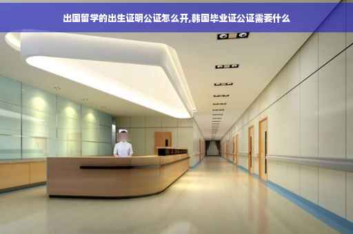 出国留学的出生证明公证怎么开,韩国毕业证公证需要什么
