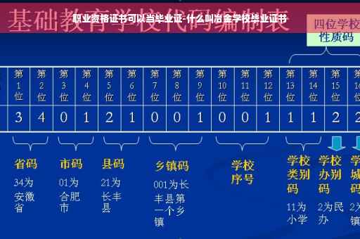 职业资格证书可以当毕业证-什么叫冶金学校毕业证书